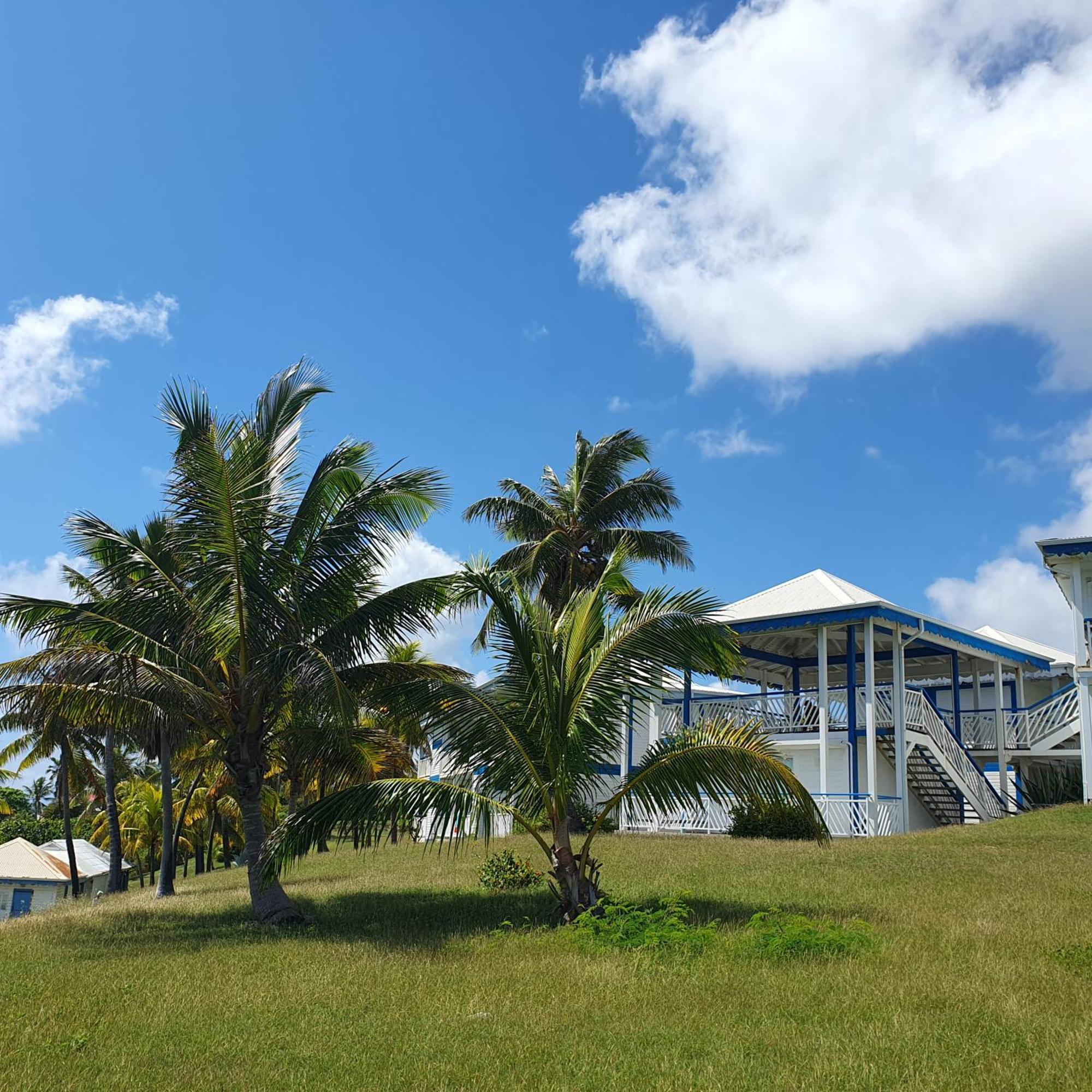 Studio Paradis 3* Saint-Francois (Grande-Terre) Exterior foto