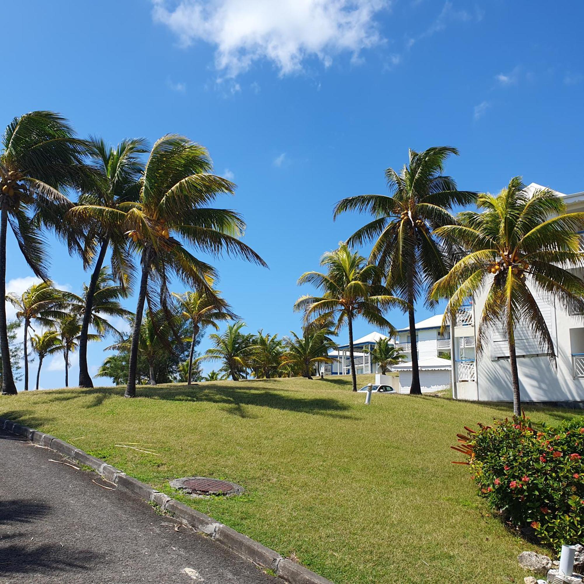 Studio Paradis 3* Saint-Francois (Grande-Terre) Exterior foto